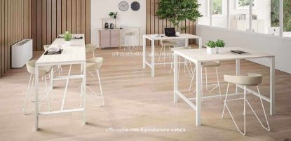 Ambiente ufficio moderno con tavoli alti dotati di struttura in metallo verniciato bianco e top in melaminico chiaro, abbinati a sgabelli imbottiti con schienale basso e base metallica, ideale per break zone, coworking, meeting informali, aree touchdown e spazi di lavoro fluidi e collaborativi.