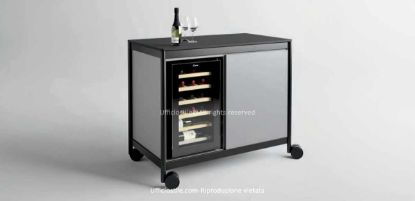 Immagine di Modulo su ruote con cantinetta