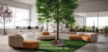 Composizione per area lounge con divanetti e pouf modulari personalizzabili, poltrone singole, divani a due posti e soluzioni angolari a 60° o 90°, abbinati ad alberi stabilizzati XXL naturali fino a 300 cm di altezza e 280 cm di diametro chioma, senza necessità di irrigazione, luce artificiale o potatura, ideale per uffici open space, reception, hotel, showroom, coworking e spazi di attesa.