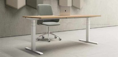 Scrivania elevabile da 180 x 65 cm con regolazione elettrica in altezza da 64,5 a 130 cm, piano in conglomerato ligneo certificato FSC® spessore 25 mm rivestito in melaminico antiriflesso, bordi in ABS da 2 mm con spigoli raggiati, struttura telescopica in acciaio verniciato con piastra superiore, base in lamiera piegata, ghiere in ABS e piedini livellatori.