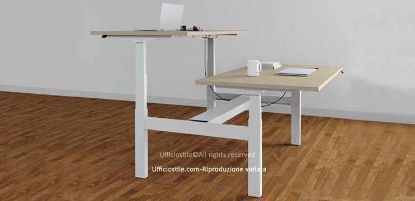Immagine di Bench 02 postazioni cm. 120 x 160 elevabile in altezza