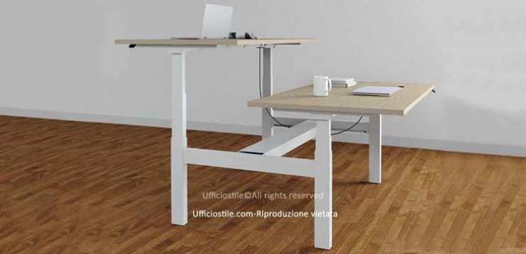 Immagine di Bench 02 postazioni cm. 120 x 160 elevabile in altezza