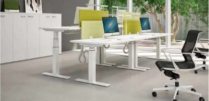 Composizione di quattro postazioni di lavoro con scrivanie operative elevabili da 120 x 80 cm, piani in conglomerato ligneo spessore 30 mm rivestiti con carta melaminica antiriflesso, struttura metallica a colonna telescopica con gambe a T rovesciata, screen divisori in tessuto da 80 x 39 cm disponibili in vari colori, griglia raccoglicavi e vertebre regolabili.