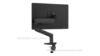 Immagine di Rising™ Braccio Monitor Singolo