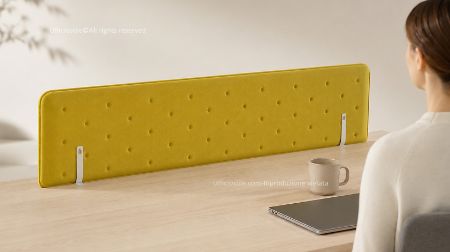 Immagine per la categoria Schermi scrivania