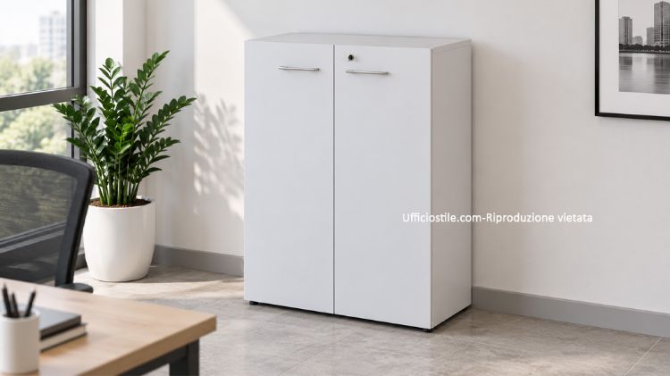 Picture of Medium Office Cabinet 02 Doors